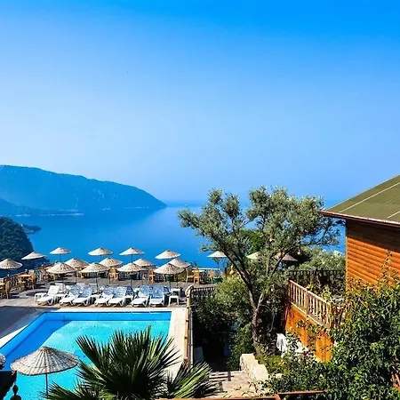 Kabak Armes Faralya