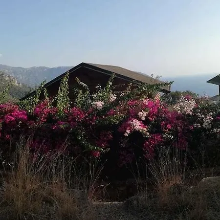 Hotel Kabak Armes