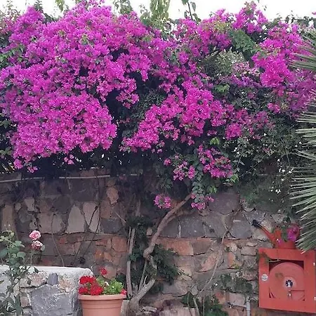 Hotel Kabak Armes Faralya