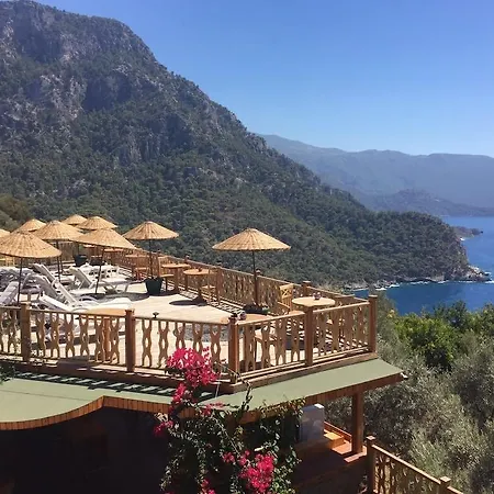 Kabak Armes 3*