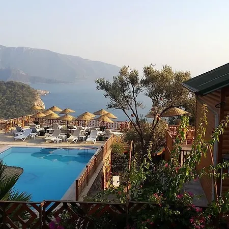 Kabak Armes Faralya