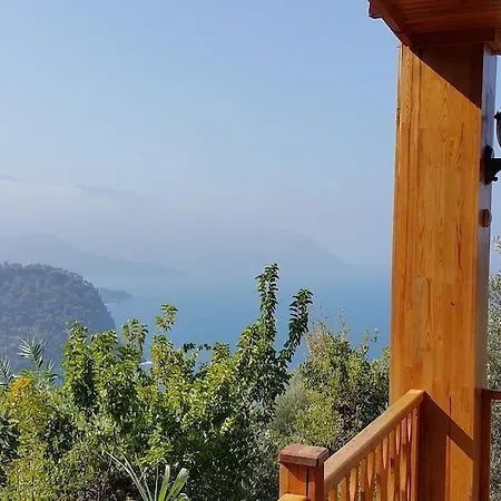 Kabak Armes Faralya