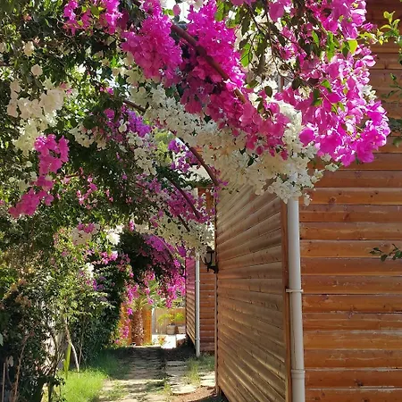 Kabak Armes Hotel 3*