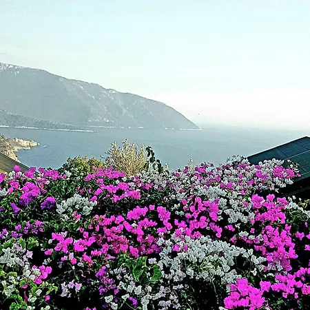Hotel Kabak Armes Faralya