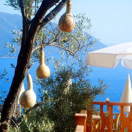 ホテル Kabak Armes ファラリア